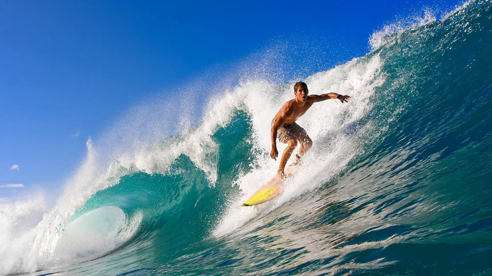 全国青少年舞龙舞狮争霸赛精彩纷呈，第十二届全国舞龙舞狮锦标赛