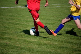 华体会app客服-中超球员比赛热度曲线与表现匹配模型，中超热身赛